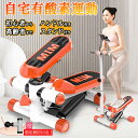 \マラソン全店10%OFF 10800⇒9720円/ステッパー ハンド...(4)