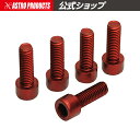 【22%OFFセール中】AP ボトルケージ用ボルト レッド (5個入) | 工具 DIY
