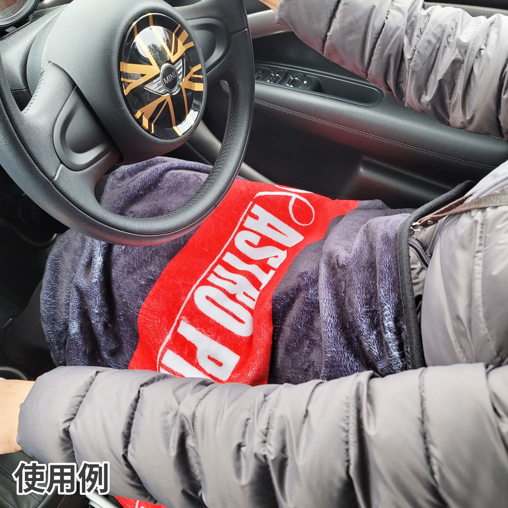 ひざ掛け 100×70cm | ブランケット 車内 防寒 毛布 冬 シーズン フランネル 洗濯 冬アイテム アストロプロダクツ astroproducts-10019030 アストロプロダクツ 楽天市場店 サンプル画像2
