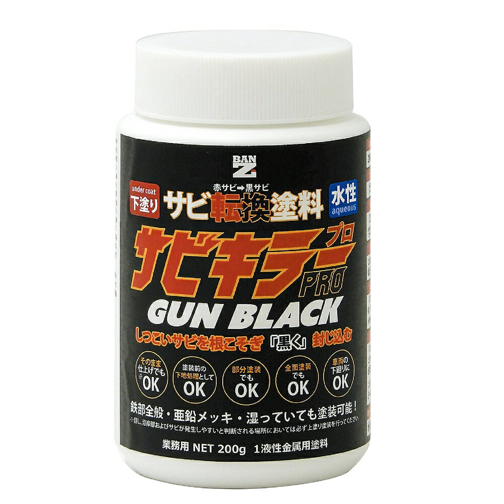 BAN-ZI サビキラー プロ GUNBLACK 200g | 錆止め サビ サビ止め 水性塗料 サビ転換 赤サビ 黒サビ 防サビ 亜鉛メッキ 上塗り塗料 鉄面 鉄部全般 速乾