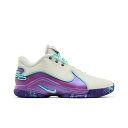 Nike ナイキ メンズ スニーカー 【LeBron 22 'Frozen Grapes'】 サイズ US_5.5(23.5cm)