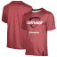 ץե  T ȥåץ Carthage Firebirds ProSphere Quidditch Logo TShirt Red