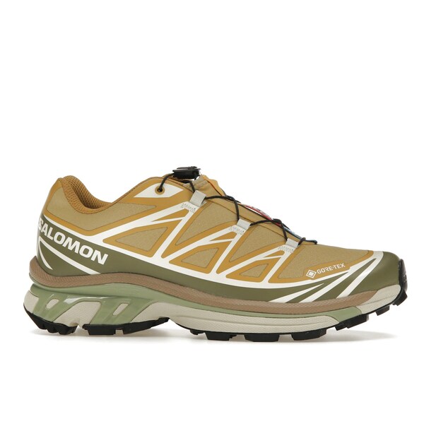 Salomon サロモン メンズ スニーカー 【Salomon XT-6 Gore-Tex Antelope Portabella】 サイズ US_10(28.0cm) Antelope/Icicle/Portabella