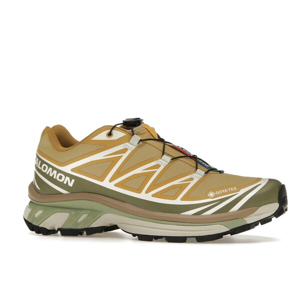 Salomon サロモン メンズ スニーカー 【Salomon XT-6 Gore-Tex Antelope Portabella】 サイズ US_10(28.0cm) Antelope/Icicle/Portabella
