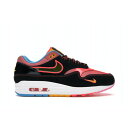 Nike iCL Y Xj[J[ yNike Air Max 1z TCY US_11.5(29.5cm) Chinatown New York (2020)