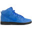 Nike ʥ  ˡ Nike SB Dunk High  US_9.5(27.5cm) Blue Eiffel 65