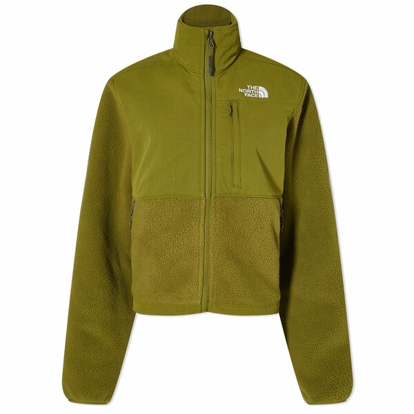 ノースフェイス レディース パーカー・スウェットシャツ アウター The North Face Ripstop Denali Fleece Jacket Green