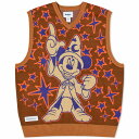 バターグッズ メンズ パーカー スウェットシャツ アウター Butter Goods x Disney Starry Skies Knitted Vest Brown