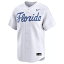 gators baseballの画像