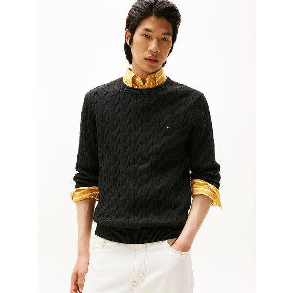 トミー ヒルフィガー メンズ ニット&セーター アウター CLASSIC CABLE CREW NECK - Jumper - black
