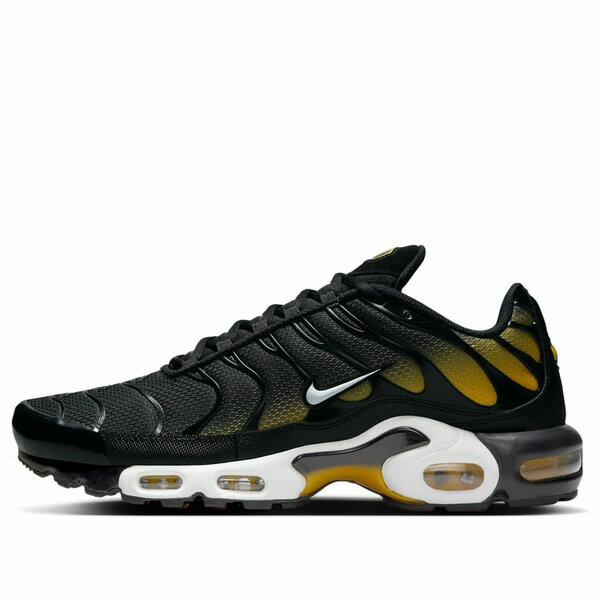 Nike ナイキ メンズ スニーカー 【Nike Air Max Plus 'Black University Gold' DM0032-013】 サイズ US_8(26.0cm)