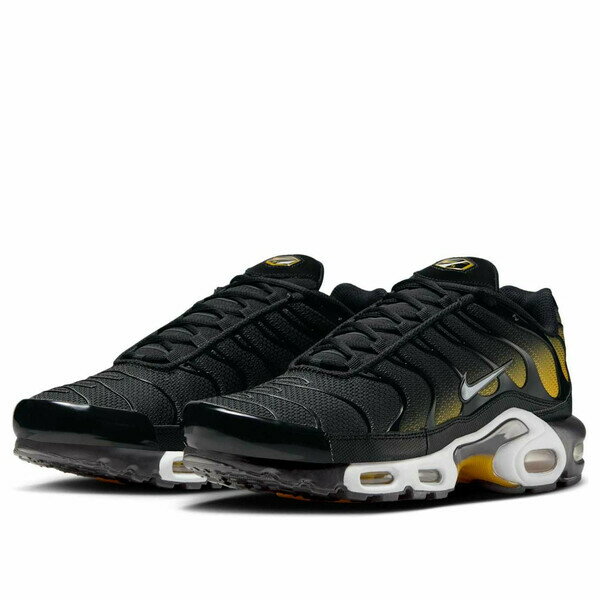 Nike ナイキ メンズ スニーカー 【Nike Air Max Plus 'Black University Gold' DM0032-013】 サイズ US_8(26.0cm)