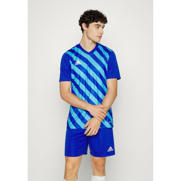 ǥ   ȥåץ ENTRADA 22 GFX - Football shirt - team royal blue/app sky rush