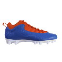 Air Jordan ジョーダン メンズ スニーカー 【Air Jordan 10 Vapor Carbon Low 'Florida Gators' PE】 ...