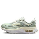 Nike ナイキ レディース スニーカー grey 【(WMNS) Nike Air Max Bliss 'Light Silver Sail' FB7170-...