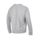 `sI fB[X p[J[EXEFbgVc AE^[ Men's Ash Notre Dame Fighting Irish Big and Tall Reverse Weave Fleece Crewneck Pullover Sweatshirt Ash