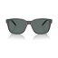 アーネット メンズ サングラス・アイウェア アクセサリー Men's Polarized Sunglasses, Surry H Gray