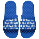 アイスライド メンズ サンダル シューズ Saint Louis Billikens ISlide Collage Slide Sandals Blue