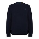 ラルフローレン 【送料無料】 ラルフローレン メンズ ニット&セーター アウター Textured Pony Jumper Navy