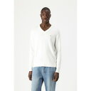 トミー ヒルフィガー メンズ ニット&セーター アウター V NECK - Jumper - ivory petal