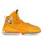 Nike ʥ  ˡ ֥ Nike LeBron 19  US_9(27.0cm) Hard Hat