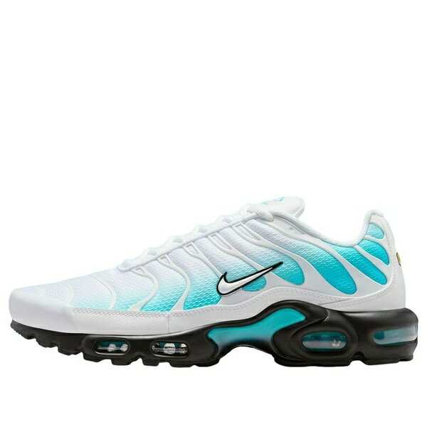 Nike ナイキ メンズ スニーカー エアマックス 【Nike Air Max Plus 'Dusty Cactus' IU7539-345】 サイズ US_11.5(29.5cm)