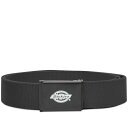 fBbL[Y Y xg ANZT[ Dickies Orcutt Belt Black