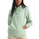 ノースフェイス レディース カットソー トップス Women's Evolution Relaxed-Fit Hoodie Misty Sage(4)