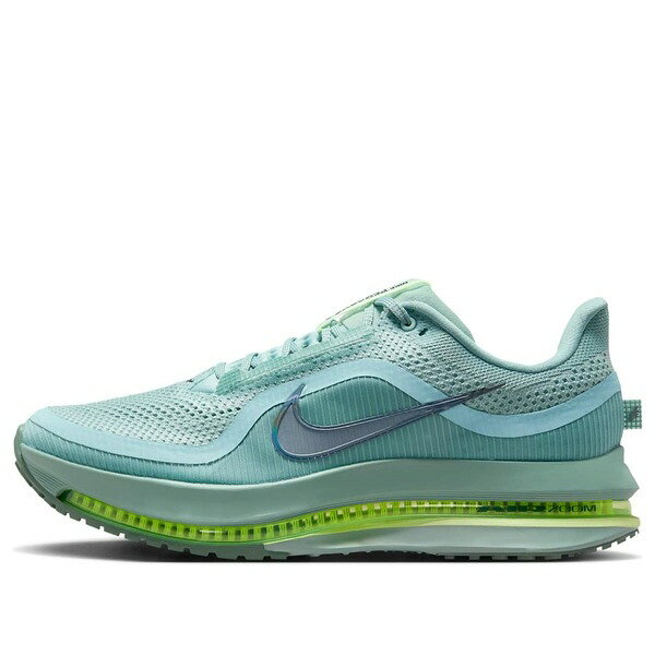 Nike ナイキ メンズ スニーカー 【Nike Air Zoom Pegasus Premium 'Cannon' HQ2592-009】 サイズ US_11(29.0cm)