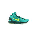 Nike iCL Y Xj[J[ yNike KD 5z TCY US_9.5(27.5cm) Hulk