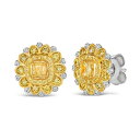 @ fB[X sAXCO ANZT[ Sunny Yellow Diamond (5/8 ct. t.w.) & Vanilla Diamond Accent Starflower Earrings in Platinum & 14K Gold Platinum and 14K Honey Gold