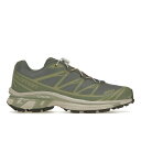 Salomon T Y Xj[J[ ySalomon XT-6z TCY US_9(27.0cm) Desert Sage