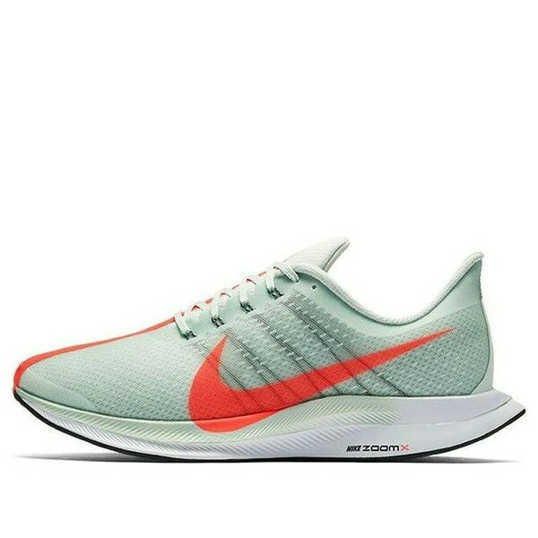 Nike ナイキ メンズ スニーカー 【Nike Zoom Pegasus Turbo 'Barely Grey' AJ4114-060】 サイズ US_10.5(28.5cm)