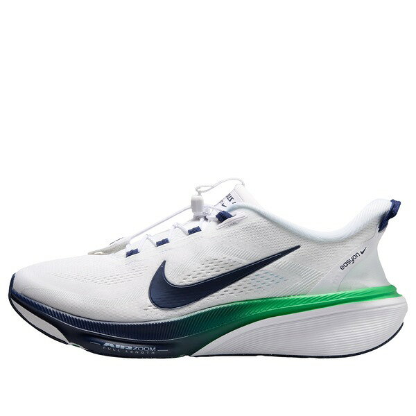 Nike Pegasus 42 EasyOnの楽天掲載画像