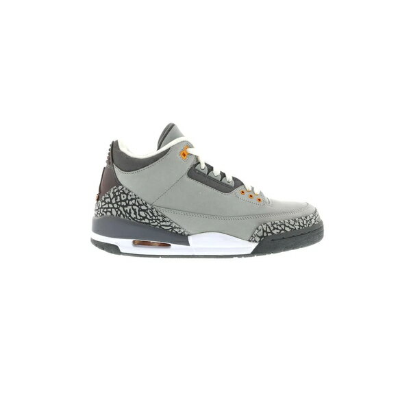 Jordan 硼  ˡ Jordan 3 Retro  US_12(30.0cm) Cool Grey (2007)