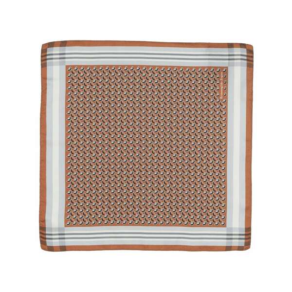 【送料無料】 ゼニア メンズ マフラー・ストール・スカーフ アクセサリー Scarves Brown