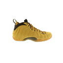 Nike ナイキ メンズ スニーカー 【Nike Air Foamposite One】 サイズ US_13(31.0cm) Wheat