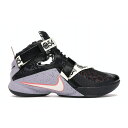 Nike iCL Y Xj[J[ u yNike LeBron Solider 9z TCY US_9(27.0cm) Quai 54