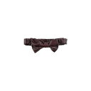 【送料無料】 ヴァレンティノ ガラヴァーニ レディース ベルト アクセサリー Belts Purple