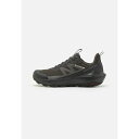 サロモン メンズ バスケットボール スポーツ ELIXIR ACTIV GTX - Hiking shoes - phantom/black/magnet