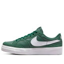 Nike ナイキ レディース スニーカー Green 【(WMNS) Nike Zoom Pogo Plus Premium SB 'Gorge Green' DQ5127-300】 サイズ US_7(24.0cm)(4)