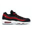 Nike ʥ  ˡ Nike Air Max 95  US_10(28.0cm) Bred Ice