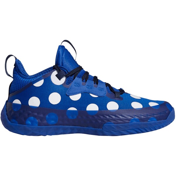 adidas ǥ  ˡ adidas Harden Vol. 5 Futurenatural  US_14(32.0cm) Blue Polka Dot