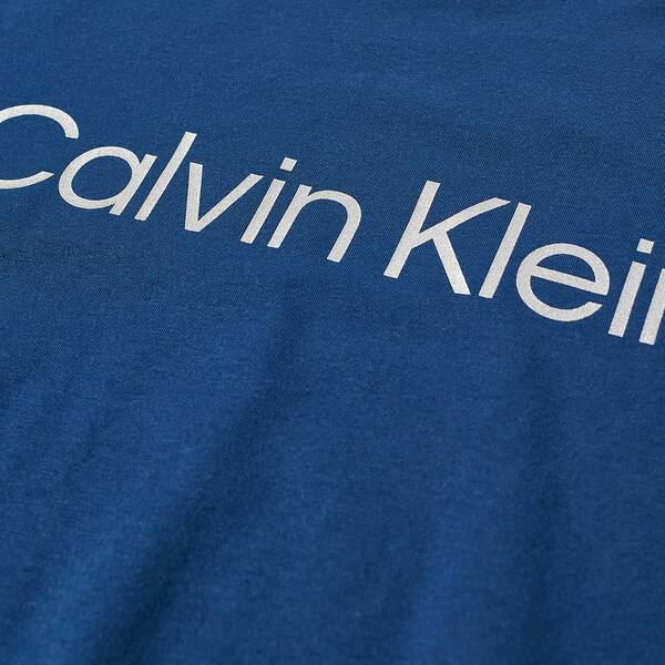 カルバンクライン メンズ Tシャツ トップス Calvin Klein Chest Logo Tee Blue