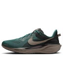 Nike ナイキ メンズ スニーカー 【Nike Air Zoom Pegasus 41 'Faded Spruce' HQ6025-300】 サイズ US_6...