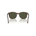 ペルソル レディース サングラス&アイウェア アクセサリー Men's and Women's Sunglasses PO3355S Havana