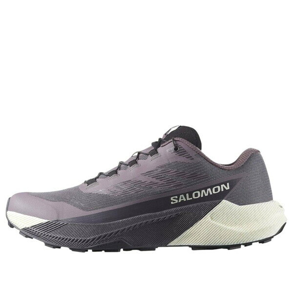 SALOMON サロモン レディース スニーカー 【(WMNS) SALOMON Pulsar 'Excalibur Vanilla Ice' 479755】 サイズ US_5(22.0cm)
