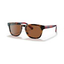 ラルフローレン メンズ サングラス・アイウェア アクセサリー Men's Sunglasses, PH4170 53 Shiny Jc Tortoise