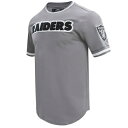 プロスタンダード メンズ Tシャツ トップス Las Vegas Raiders Pro Standard Classic Chenille Double Knit TShirt Gray