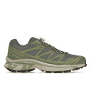Salomon サロモン メンズ スニーカー 【Salomon XT-6 Desert Sage】 サイズ US_11(29.0cm) Laurel Wreath/Lily Pad/Desert Sage(4)